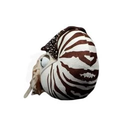 Peluche Dinosaure Ammonite -Le Monde Des Dinosaures PelucheDinosaurerareAmmonite